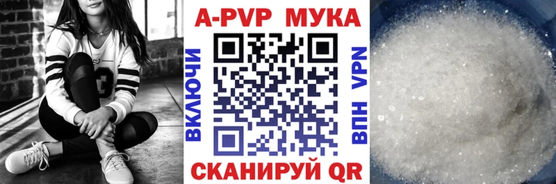Купить закладки  Кузнецк  A-PVP СК КРИС 