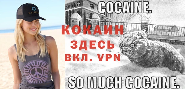 спиды Касимов