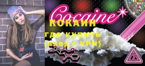 индика Карпинск