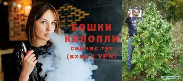 индика Карпинск