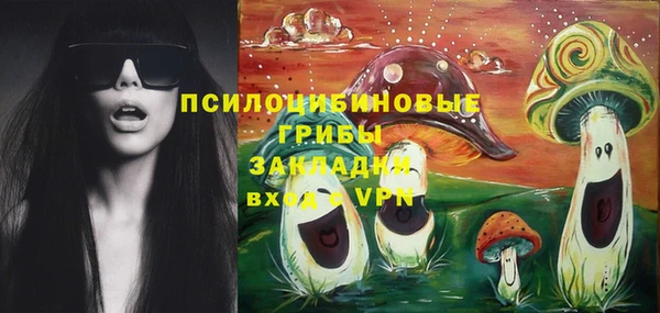 мескалин Каменка