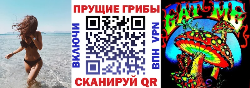 Купить где  Кузнецк  Псилоцибиновые грибы мицелий 